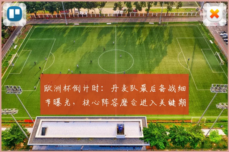 欧洲杯倒计时：丹麦队最后备战细节曝光，核心阵容磨合进入关键期